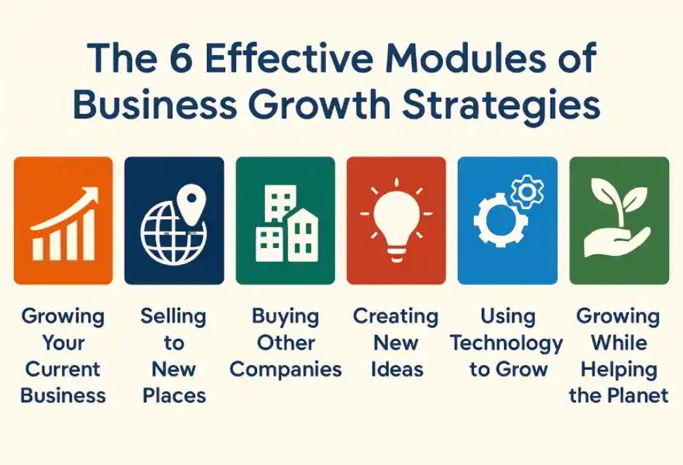 business growth strategies