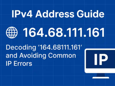 IPv4 Address Guide_ Decoding ‘164.68111.161’ and Avoiding Common IP Errors