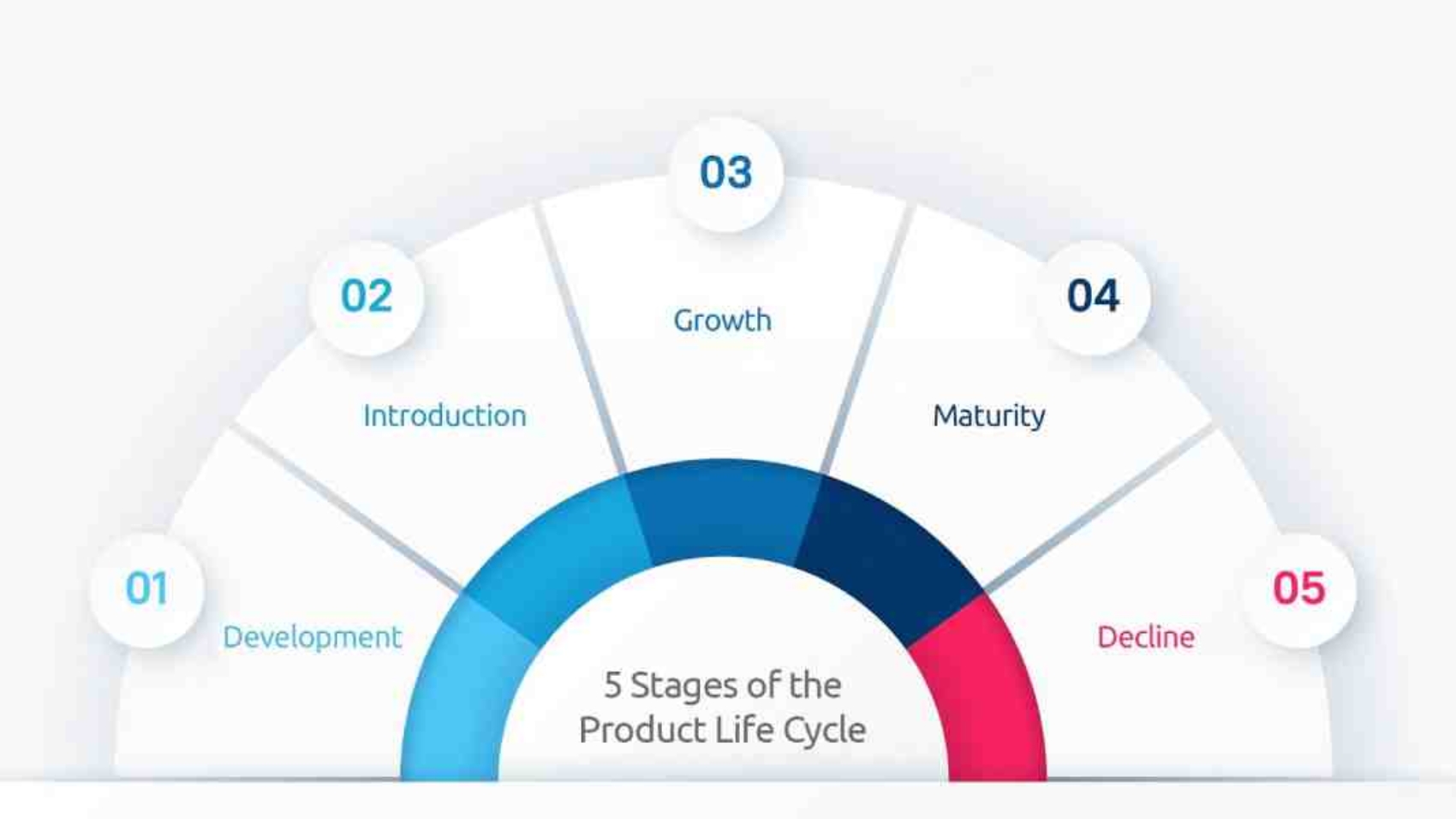 five stages of a business life cycle