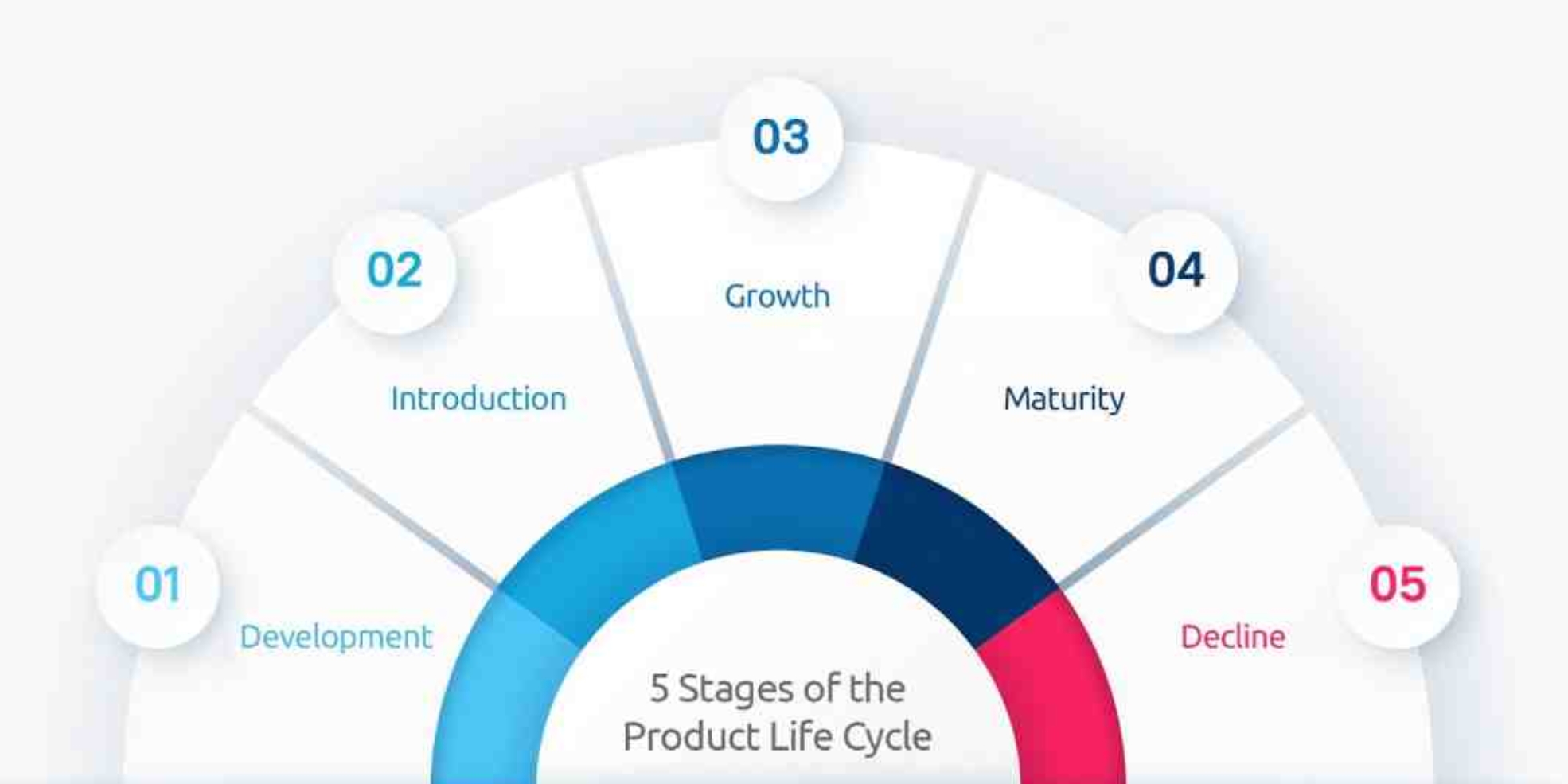 five stages of a business life cycle
