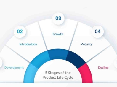 five stages of a business life cycle